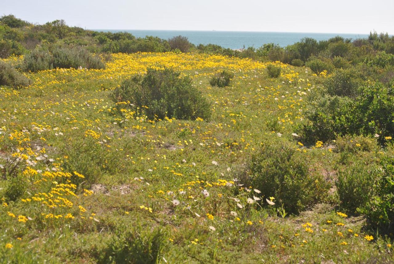 Stay At Bokkoms In Paternoster Self Catering Accommodation Extérieur photo