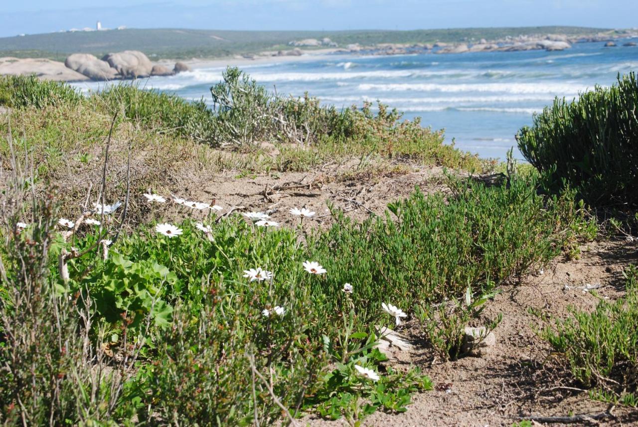 Stay At Bokkoms In Paternoster Self Catering Accommodation Extérieur photo