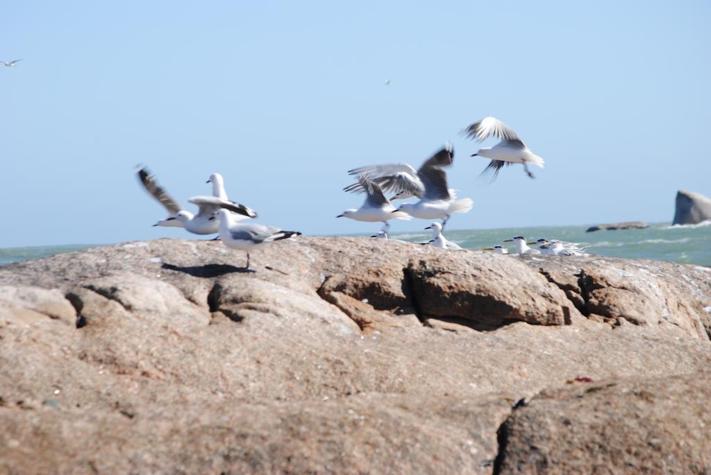 Stay At Bokkoms In Paternoster Self Catering Accommodation Extérieur photo